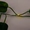 Perfect Holiday Decorative IVY String Lights Battery Operated